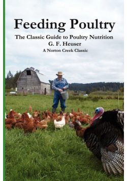 Feeding Poultry