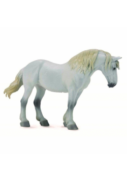 Klacz rasy Percheron Mare Grey