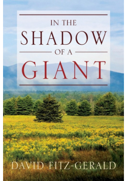 In the Shadow of a Giant