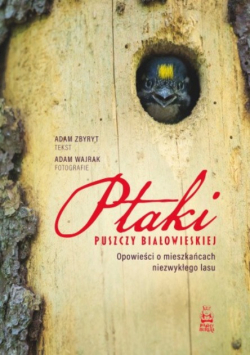 Ptaki puszczy Białowieskiej opowieści o mieszkańcach niezwykłego lasu