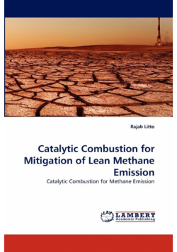 Catalytic Combustion for Mitigation of Lean Methane Emission