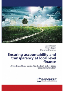 Ensuring accountability and transparency at local level finance