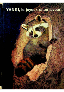Yanki le joyeux raton laveur