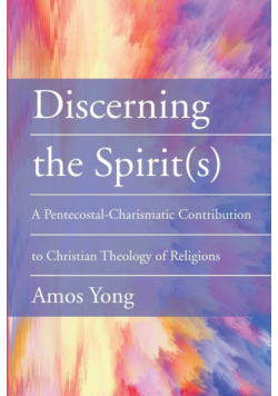 Discerning the Spirit(s)