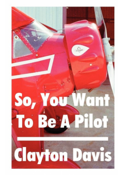 So, You Want to Be a Pilot