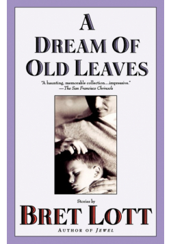 A Dream of Old Leaves