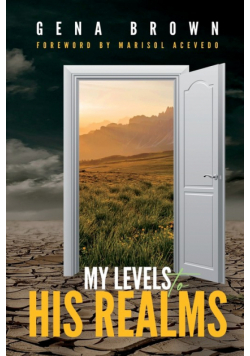 My Levels to His Realms