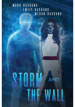 Storm and The Wall