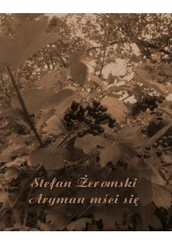 Aryman mści się