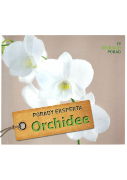 Orchidee Porady eksperta