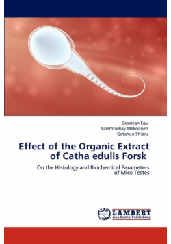Effect of the Organic Extract of Catha edulis Forsk