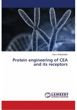 Protein engineering of CEA and its receptors