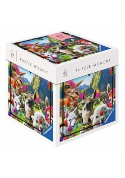 Puzzle 99 Moment CDU mix