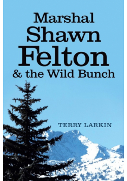 Marshal Shawn Felton & the Wild Bunch