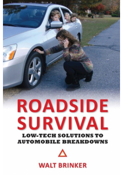 Roadside Survival