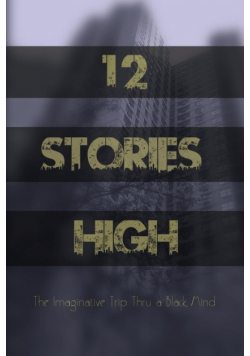 12 Stories High