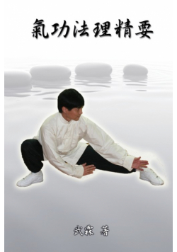Choice Methods and Theory on Chinese Kungfu