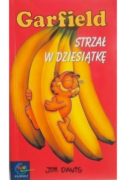 Garfield Strzał w dziesiątkę