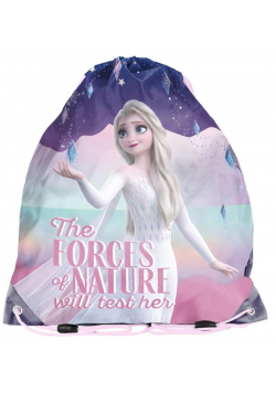 Worek na buty Frozen DF21GW-712 PASO