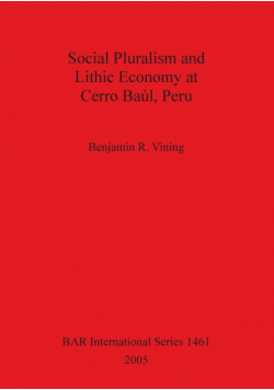 Social Pluralism and Lithic Economy at Cerro Baúl, Peru