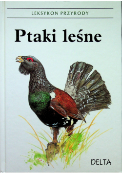 Ptaki leśne
