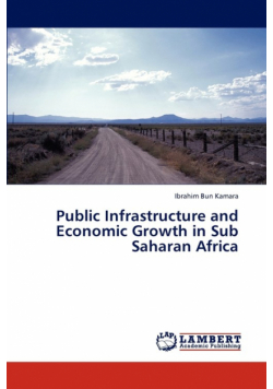 Public Infrastructure and Economic Growth in Sub Saharan Africa
