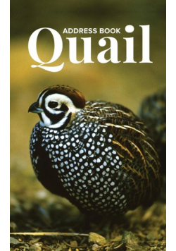 Address Book Quail