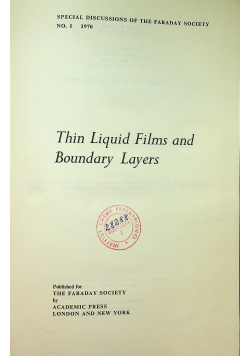 Thin Liquid films and boundary layers