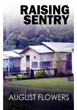 Raising Sentry