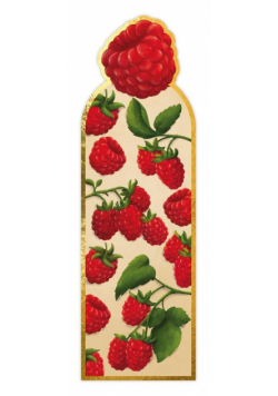 Zakładka magnetyczna Malina