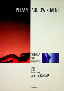 Pejzaże audiowizualne  telewizja wideo komputer
