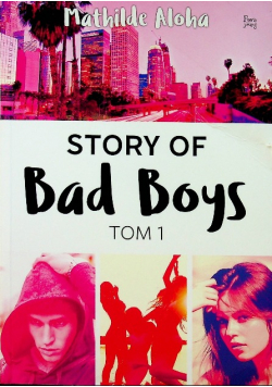 Story of Bad Boys Tom 1
