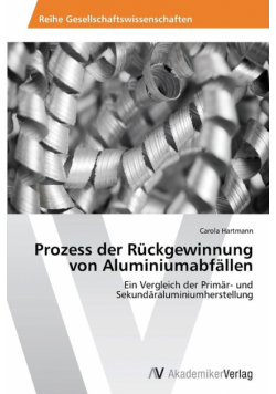 Prozess der Rückgewinnung von Aluminiumabfällen