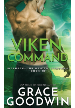 Viken Command