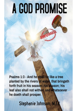 A God Promise