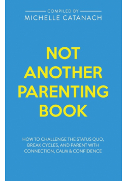 Not Another Parenting Book