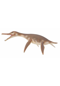 Dolichorhynchops