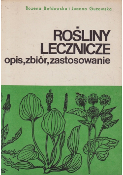 Rośliny lecznicze opis zbiór zastosowanie