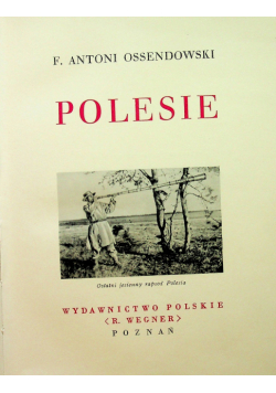 Polesie 1950 r.
