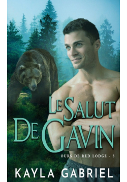 Le Salut de Gavin
