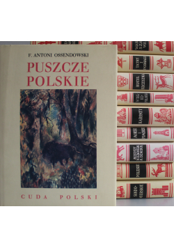 Cuda Polski 10 tomów