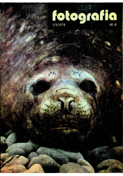 Fotografia Numer 1