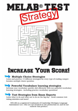 MELAB Test Strategy