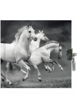Pamiętnik z kłódką Horse PP19HS-3640 PASO