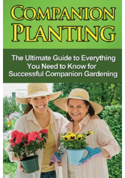 Companion Planting