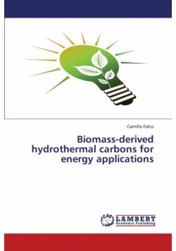 Biomass-Derived Hydrothermal Carbons for Energy Applications