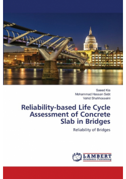 Reliability-based Life Cycle Assessment of Concrete Slab in Bridges