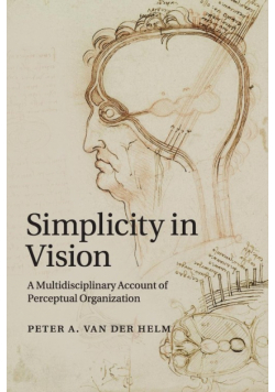 Simplicity in Vision