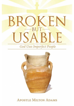 Broken but Usable