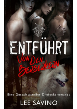 Entführt von den Berserkern